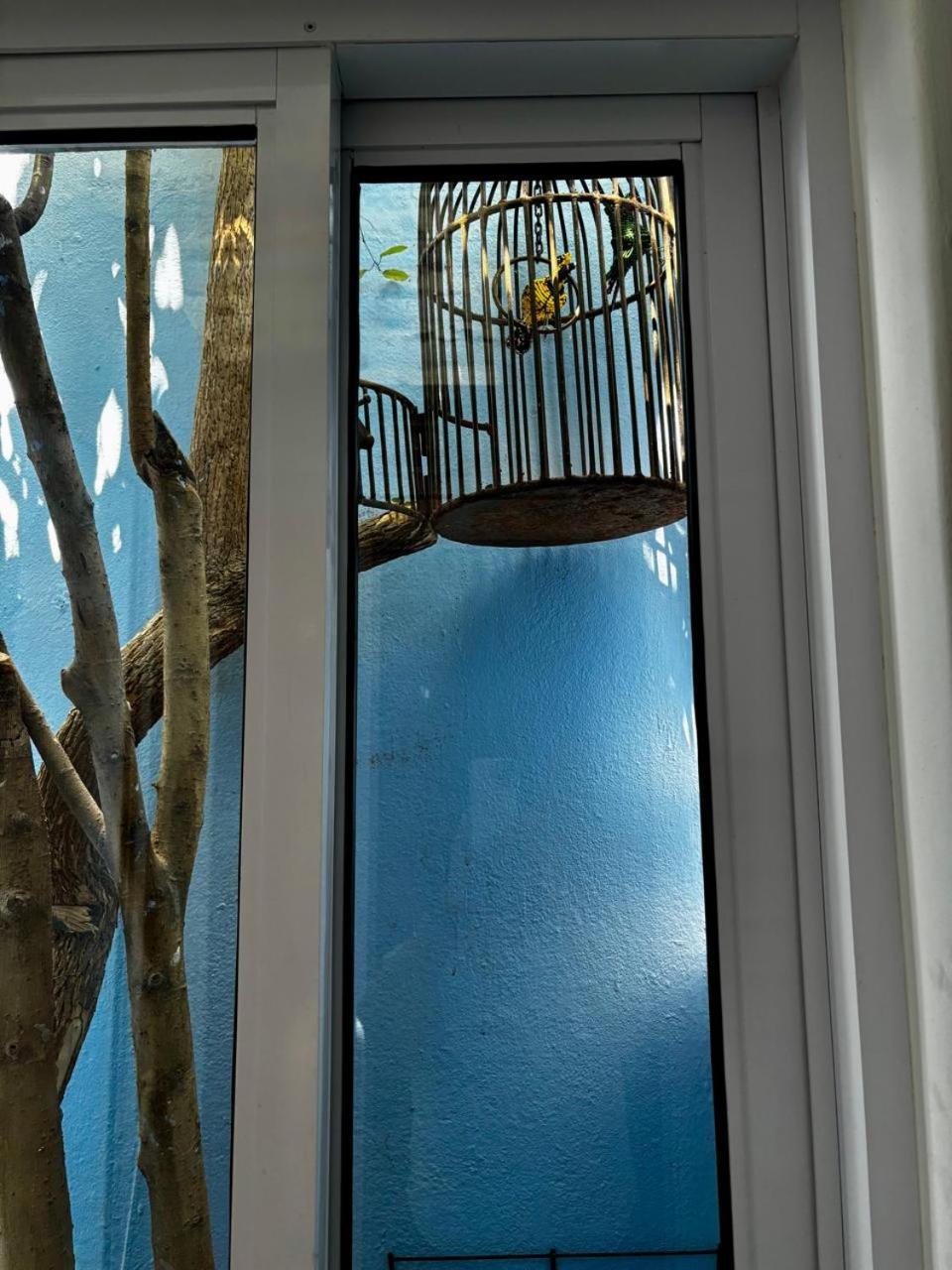 ลา โรส บีแอนด์บี Bed & Breakfast เคปทาวน์ ภายนอก รูปภาพ